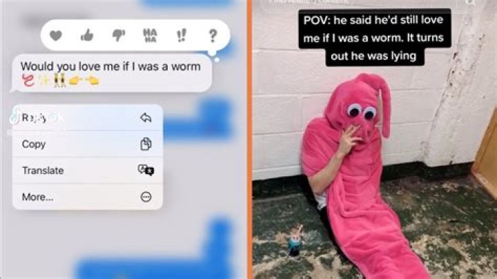 A Deep Dive Into "Would You Still Love Me If I Was A Worm" TikTok Trend