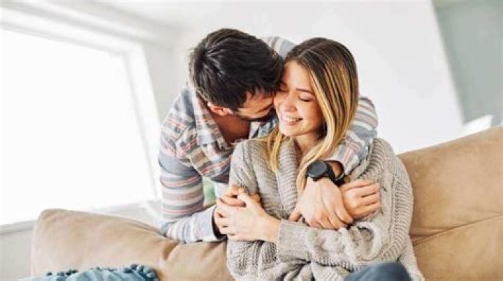 A Journey Of Affection, Comfort, And Connection