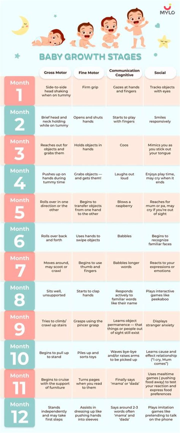 A Journey Of Growth And Milestones