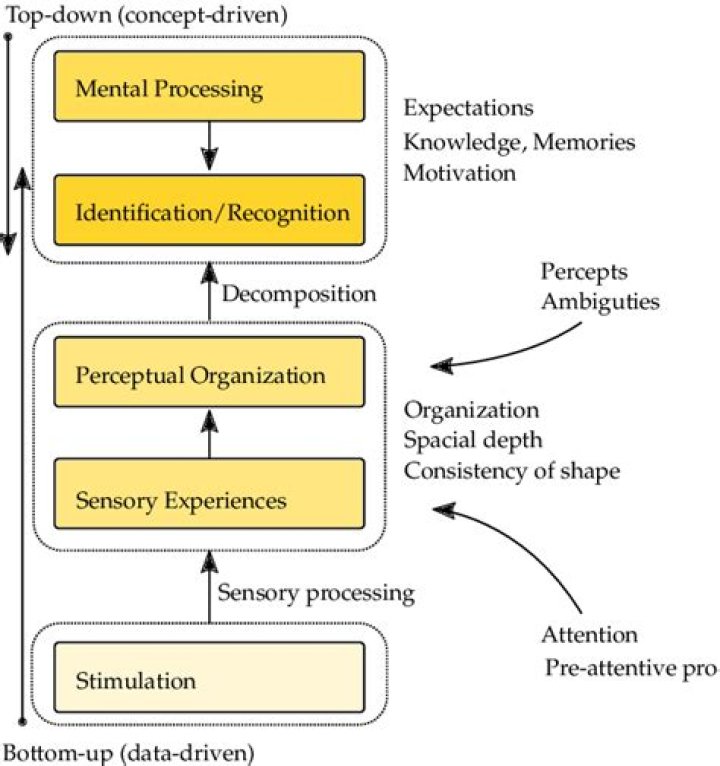 A Journey Of Perception And Memory