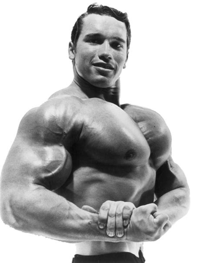 Action Star And Hollywood Icon