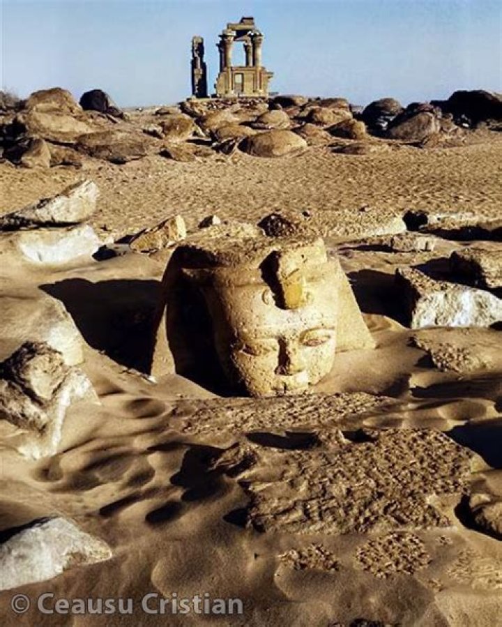 Age, Wiki, And Untold Insights