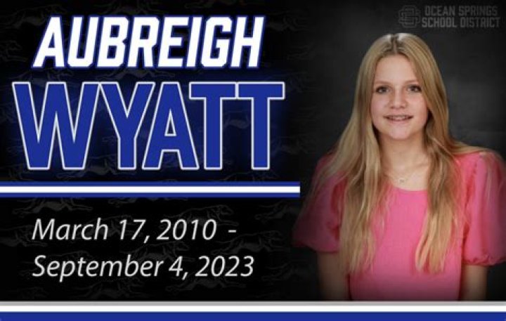 Aubreigh Wyatt Bully Arrested: The Shocking Truth Behind the Headlines