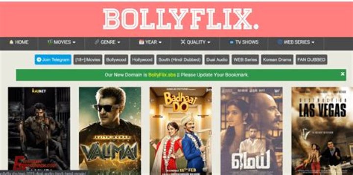 BollyFlix VIP: Your Ultimate Guide to Premium Bollywood Entertainment