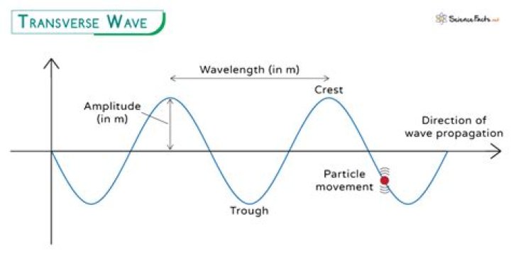 Discoveries And Insights In Wave Physics