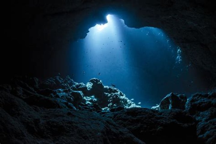 Dive Into The Depths Of St. George News