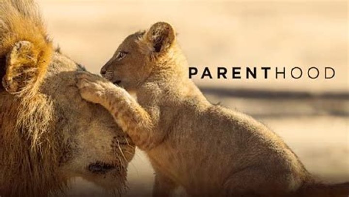 Exploring Jonathan Gilbert's Parenthood Journey