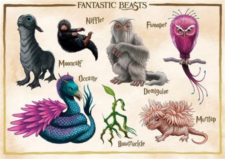 Exploring the Magical World of Fantastic Beasts