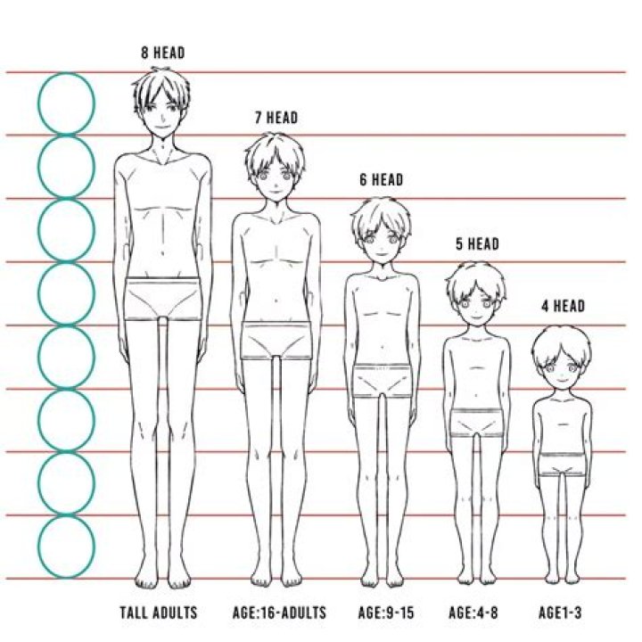 Goku's Age And Height Revealed