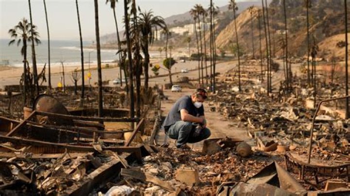 Mark Scheibal's Death In Los Angeles