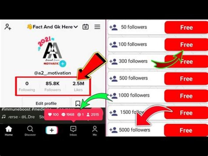 Maximizing TikTok Growth: A Comprehensive Guide to Using Zefoy Followers