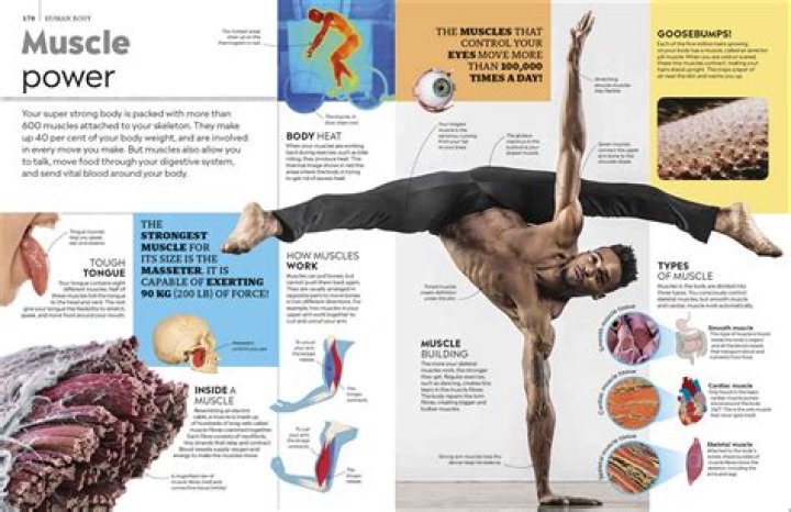 Movie Rules: Your Ultimate Guide to the World of Film Laws and Regulations