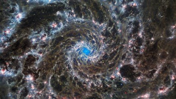 New Discoveries And Insights Unveiled