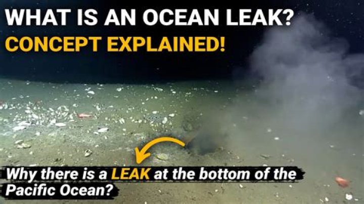 "oceansault Leak Only Videos And Photos The" Exposed