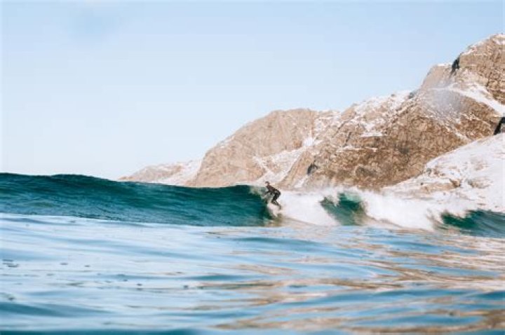 Surprising Revelations For Passionate Surfers