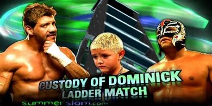 Uncover The Thrilling Intricacies Of Custody Of Dominik Ladder Matches