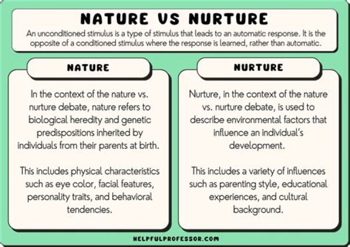 Uncovering The Interplay Of Art And Nature
