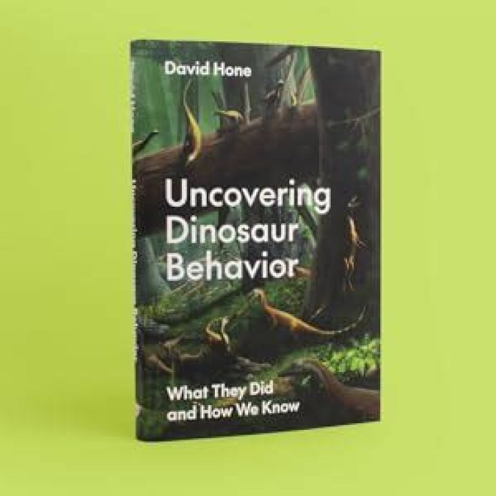 Uncovering The Secrets Of Viral Success