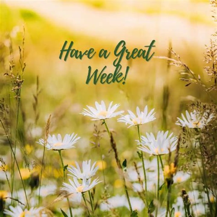 Unleash The Power Of "Have A Great Week Ahead Messages": Discoveries And Insights