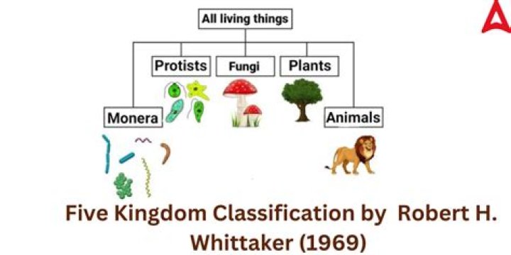 Unlocking The Secrets Of Robert Whittaker's Martial Arts Mastery