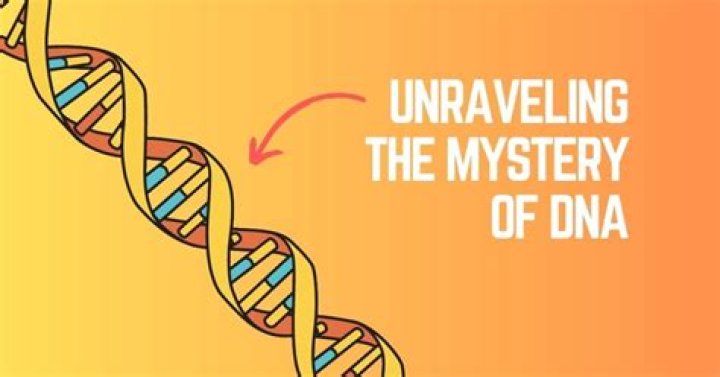 Unraveling The Mysteries Of Mathematics With Katharine Diane Williams