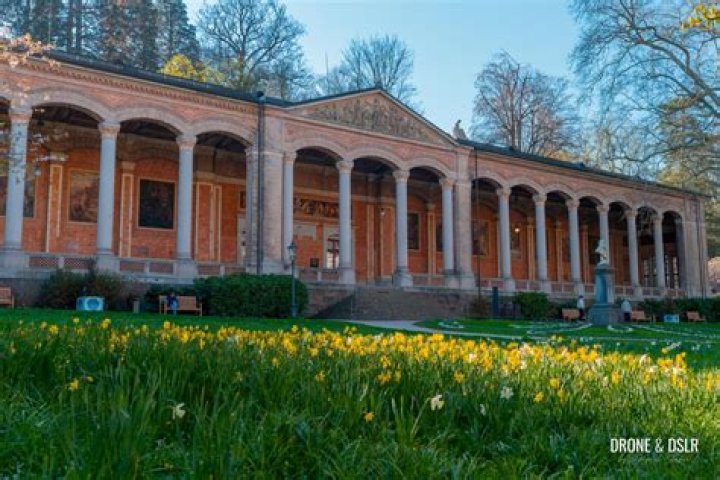 Unveiling Baden Donegal's Net Worth: Discoveries And Insights