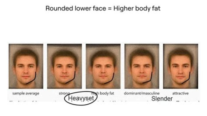 Unveiling Brent Rivera's Height: Discoveries That Will Astonish