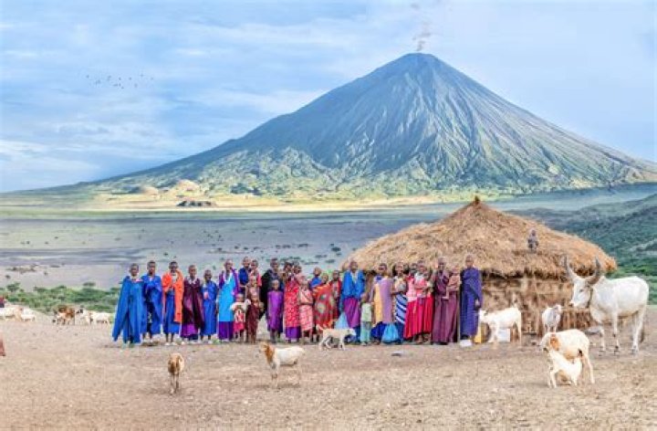 Unveiling Charli D'Amelio's Tapestry Of Heritage: A Journey Of Discovery