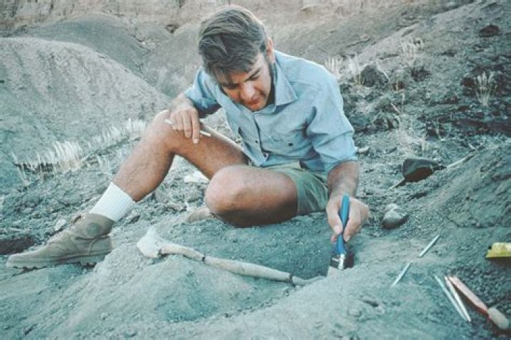 Unveiling MrBeast's Abode: Discoveries And Insights