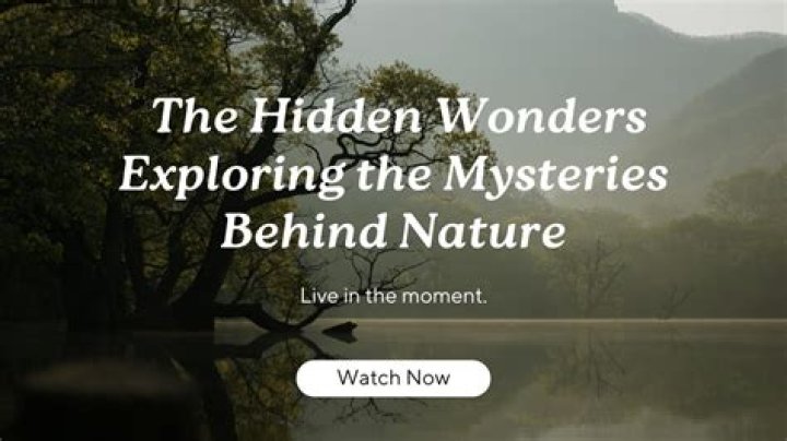 Unveiling Nature's Grandeur And Life's Challenges