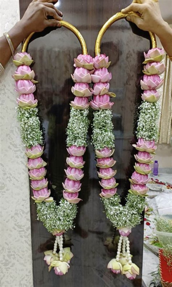 Unveiling The Art Of Thamara And Alisson: Discoveries And Insights