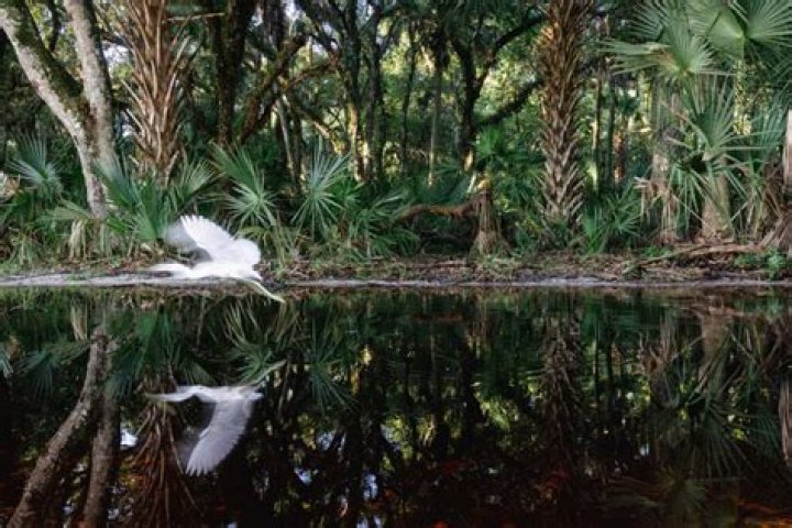 Unveiling The Mysteries Of Natalia Del's Age: Discoveries And Insights