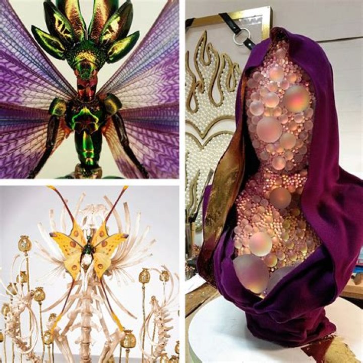 Unveiling The Secrets Of Cedric Laquieze: Insights And Discoveries