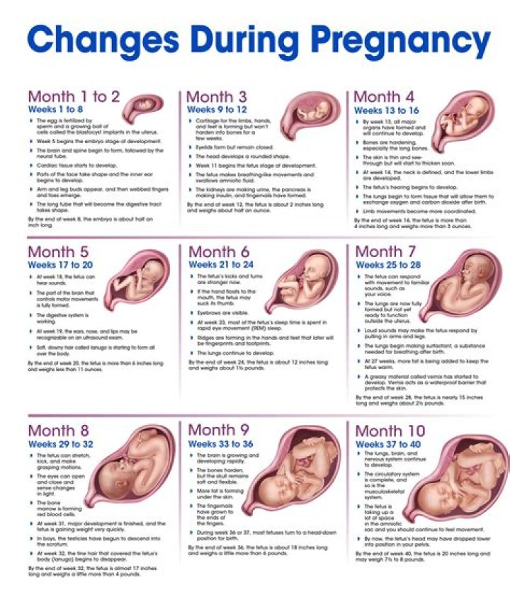 Unveiling The Truth: Brianna Keilar's Pregnancy Journey