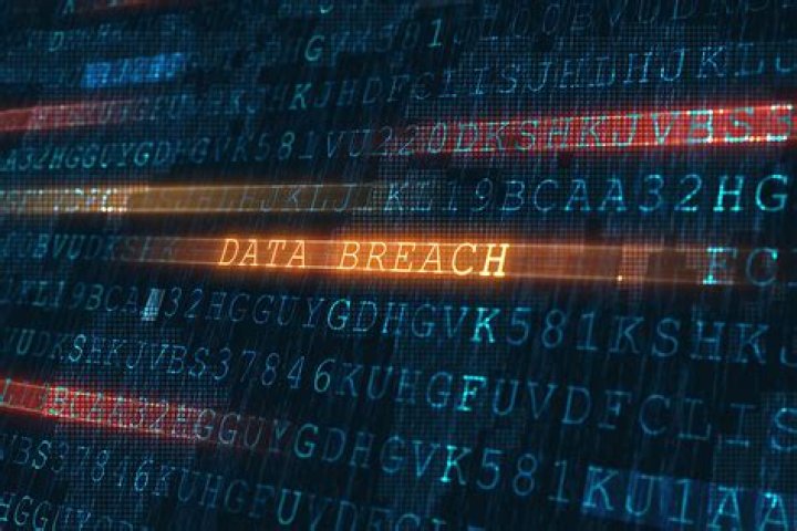 Unveiling The Truth: Data Breach At Jellybeanbrainz